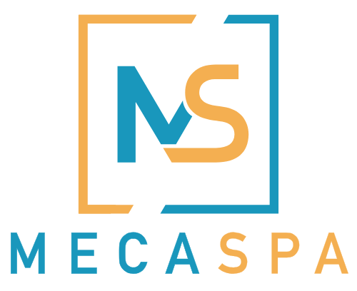 LOGO MECASPA
